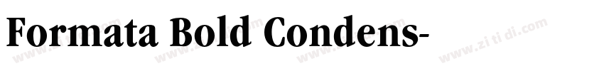 Formata Bold Condens字体转换